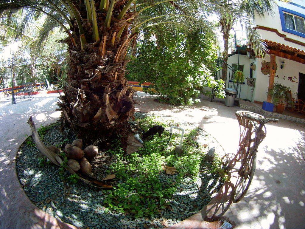 Hacienda Paraiso De La Paz Bed & Breakfast Exterior photo